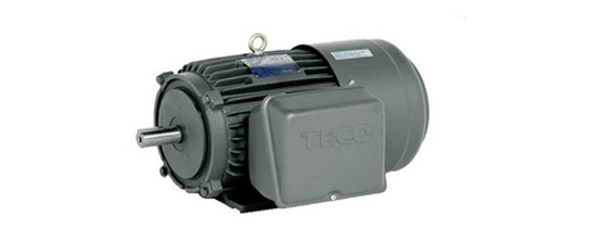 Teco Induction Electric Motor - 1HP